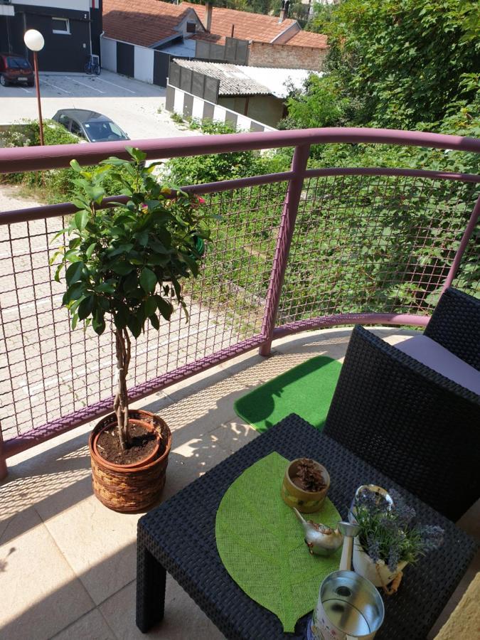 Lux Apartman Čačak מראה חיצוני תמונה
